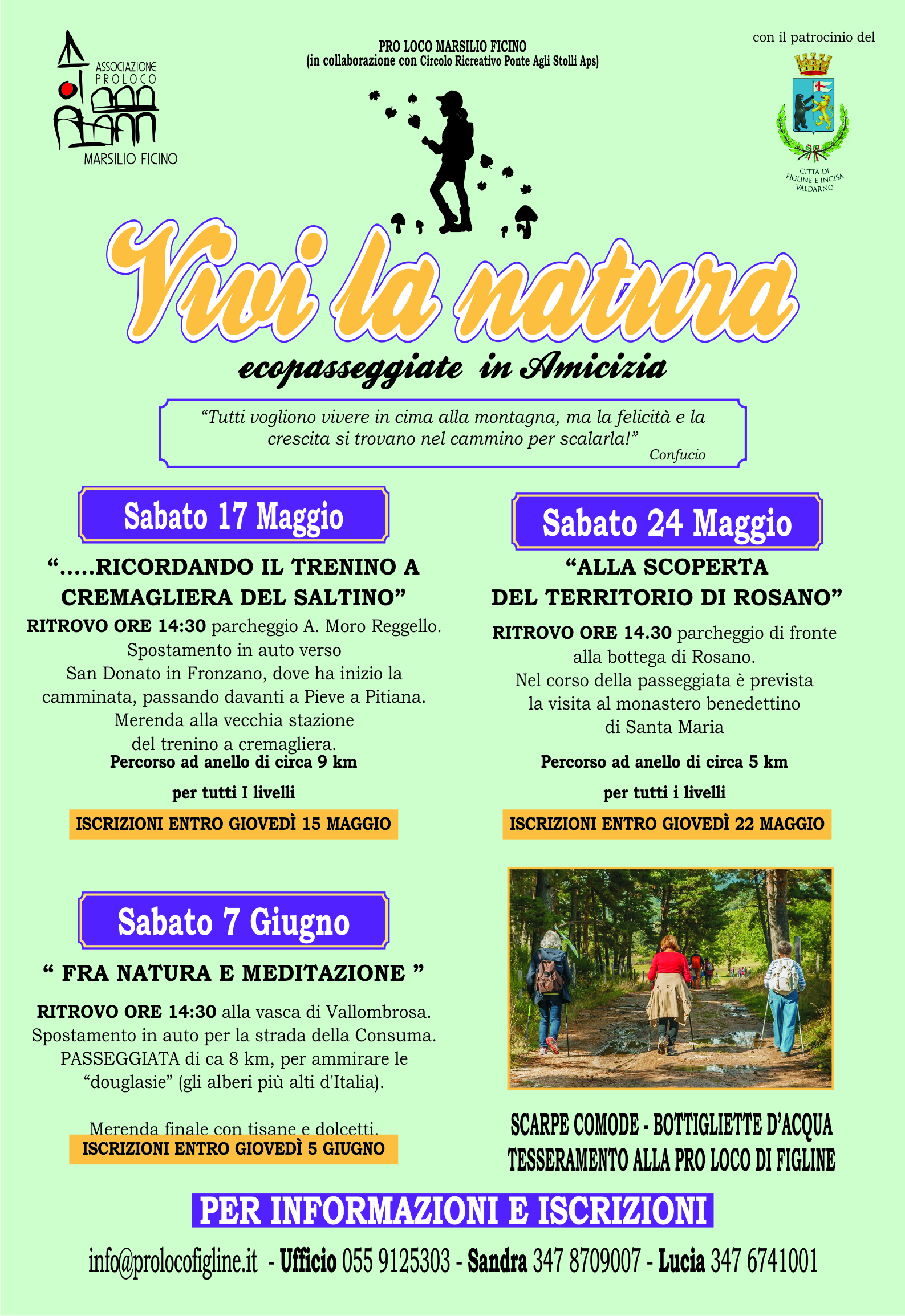 Immagine anteprima